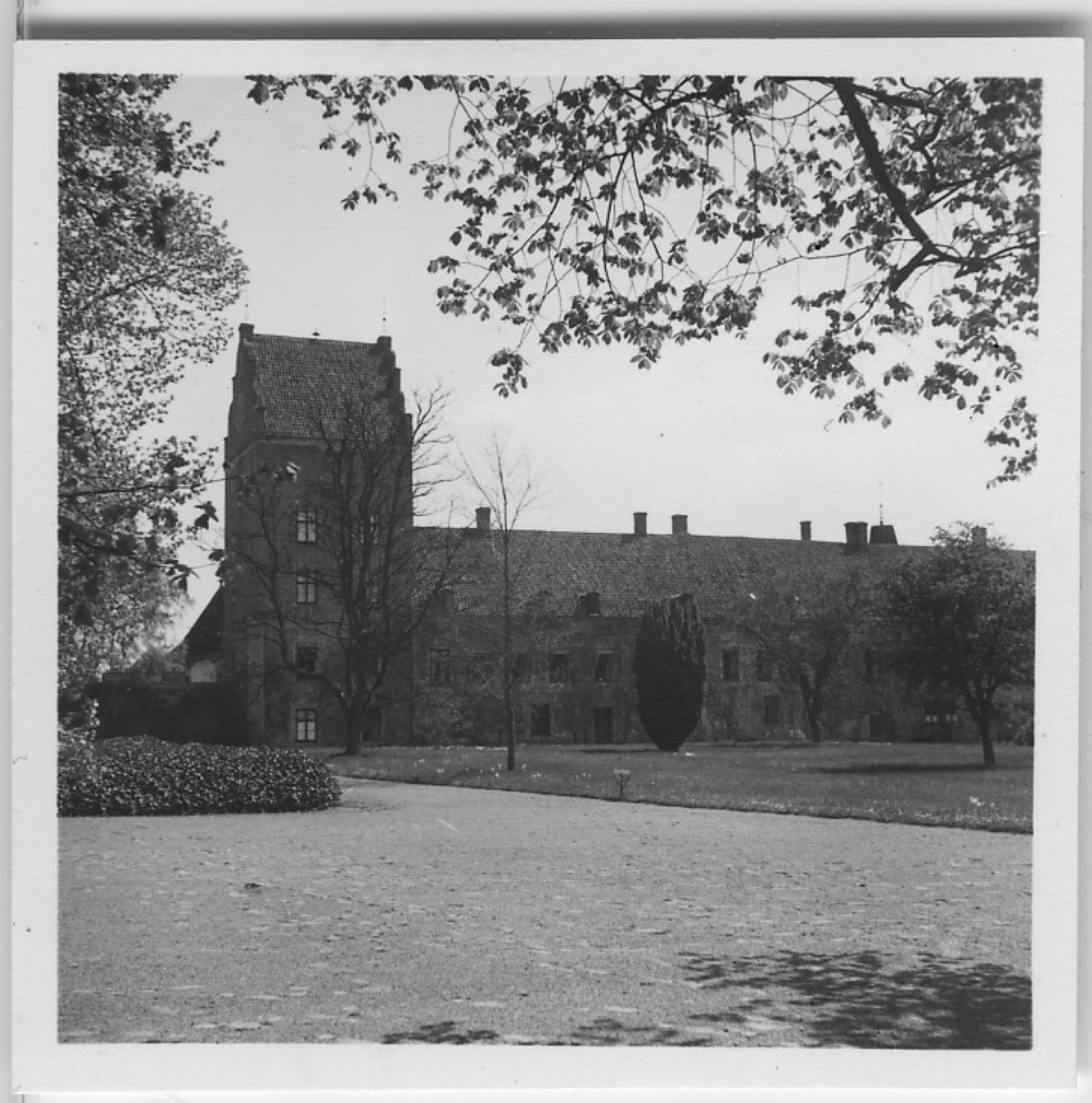 'Från Biologiska Föreningens utfärd till bl.a. Ivö i nordöstra Skåne: ::  :: Fotografi över Bäckaskog slotts b, Bäckaskog Castle