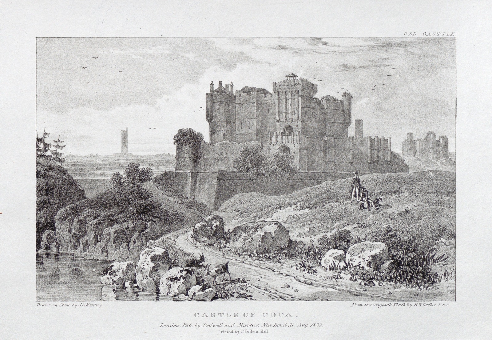 Castle of Coca, Castle of Coca