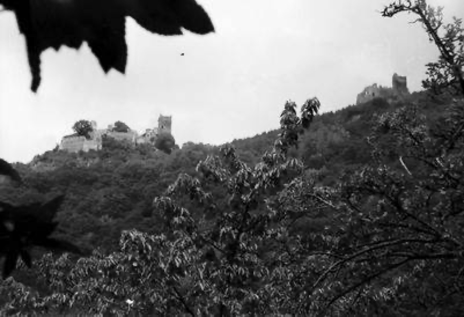 Rappoltsweiler, Ribeauvillé: Burg Ulrichstein [Saint-Ulrich] von unten, Château de Saint-Ulrich