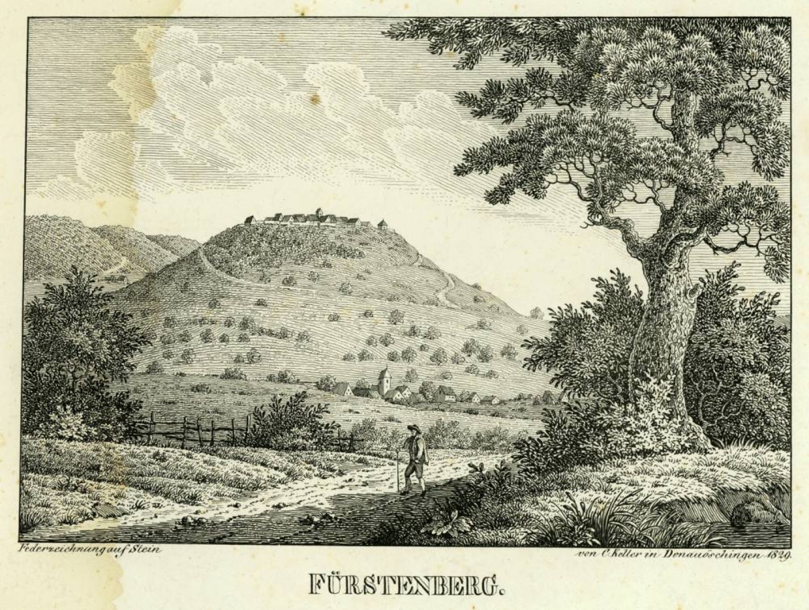 Fürstenberg, Fürstenberg Castle