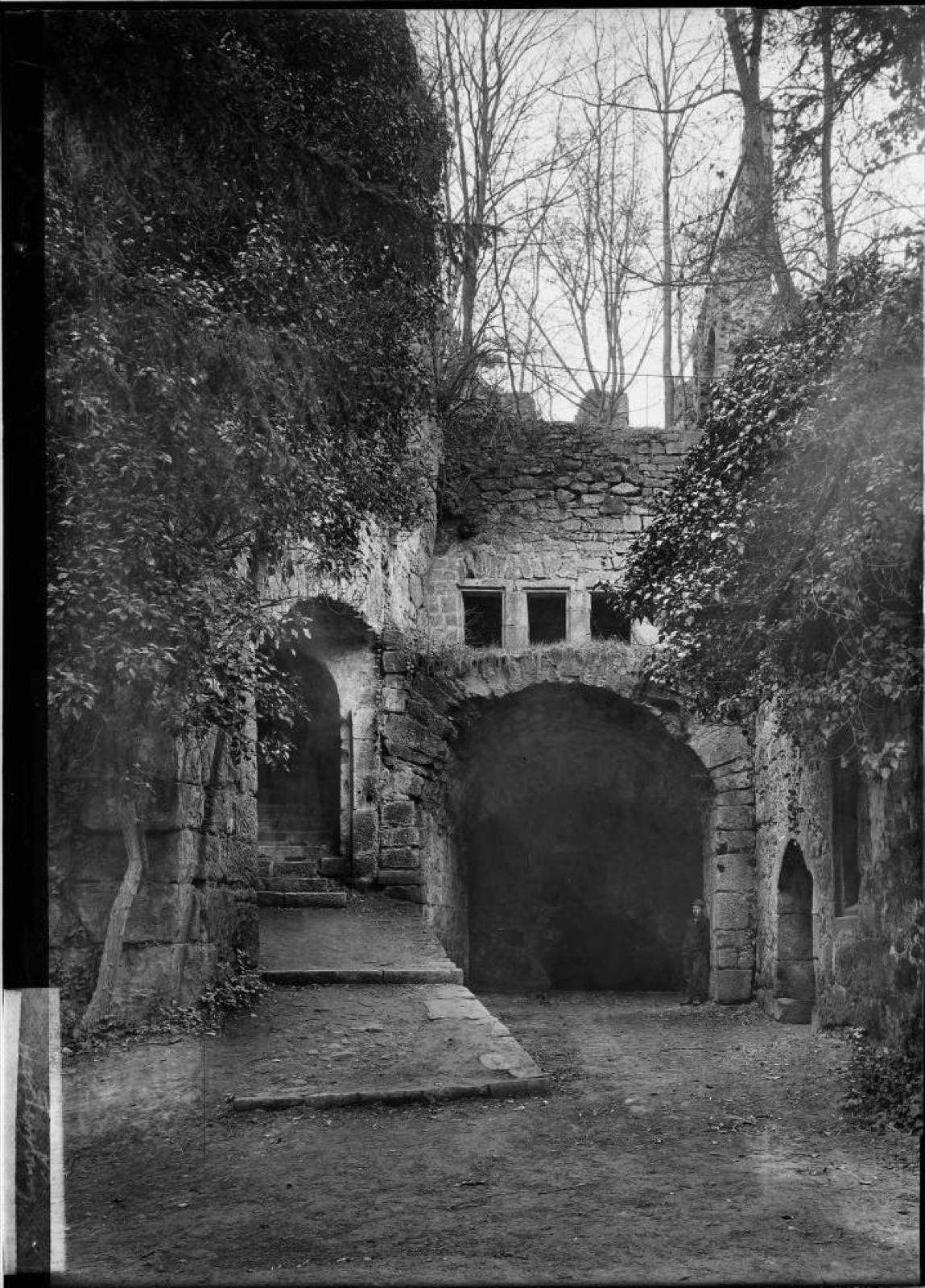 Hardenburg Burgruine, Hardenburg