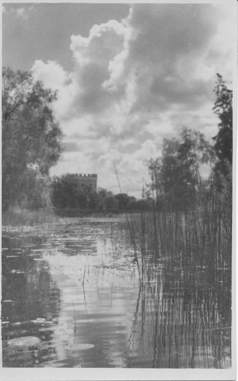 Koluvere loss, Koluvere Castle