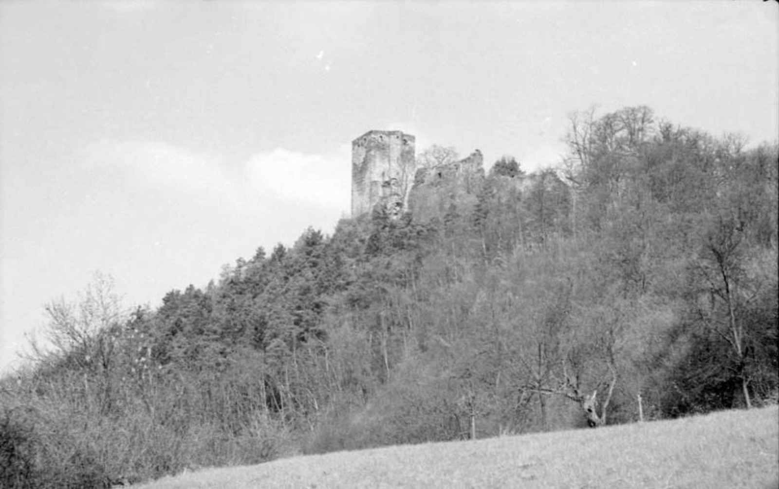 Nassau: [Burg Nassau], Nassau Castle