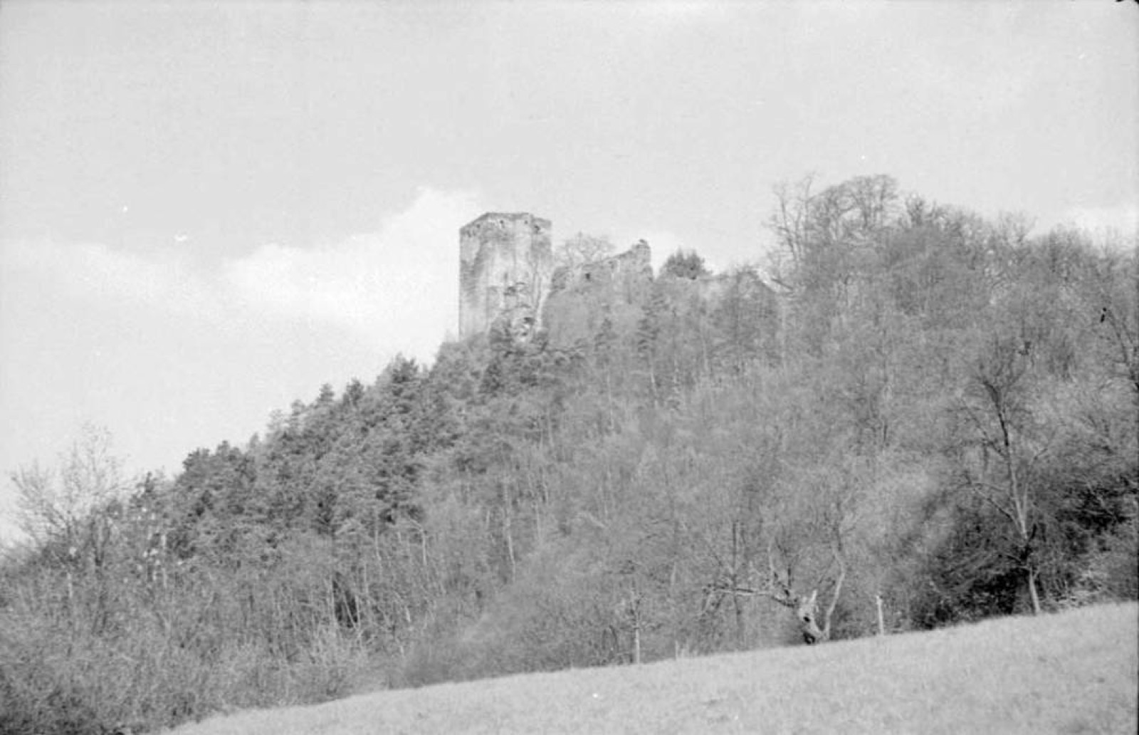 Nassau: [Burg Nassau], Nassau Castle