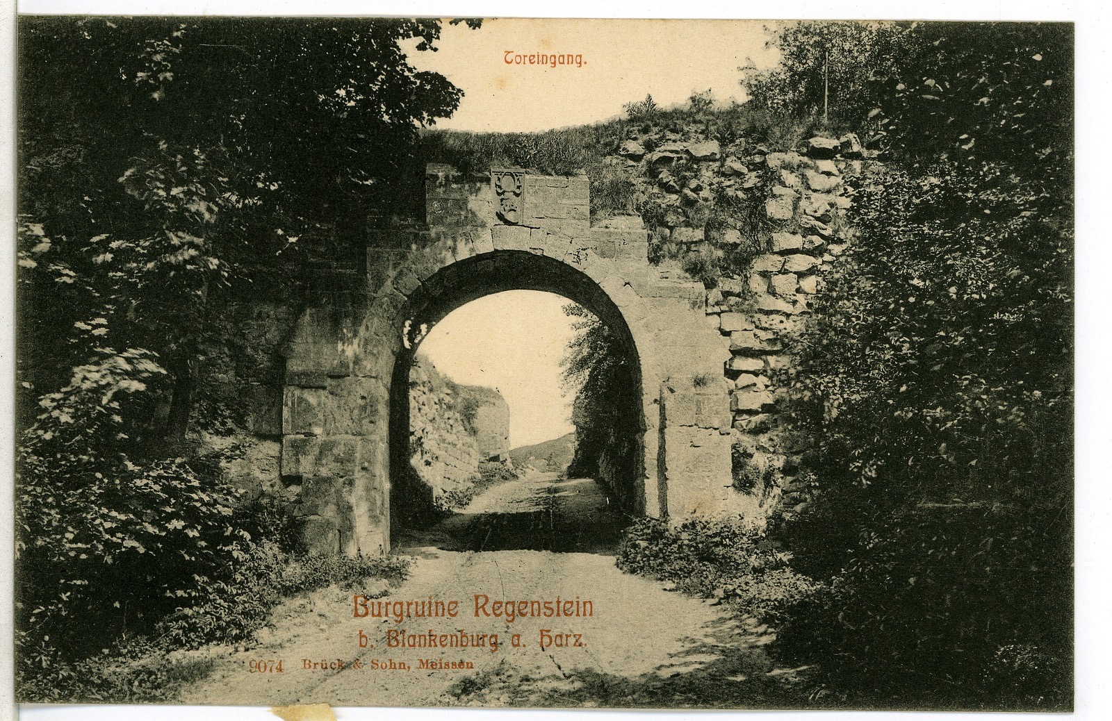 Regenstein Castle, Regenstein Castle