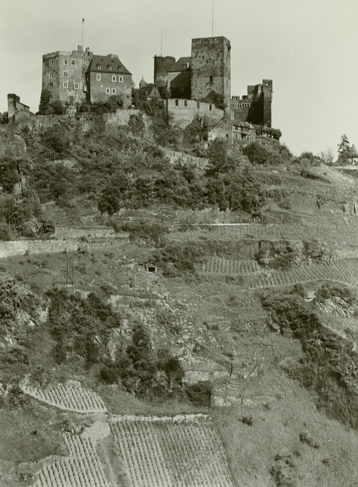 Schönburg, Schönburg
