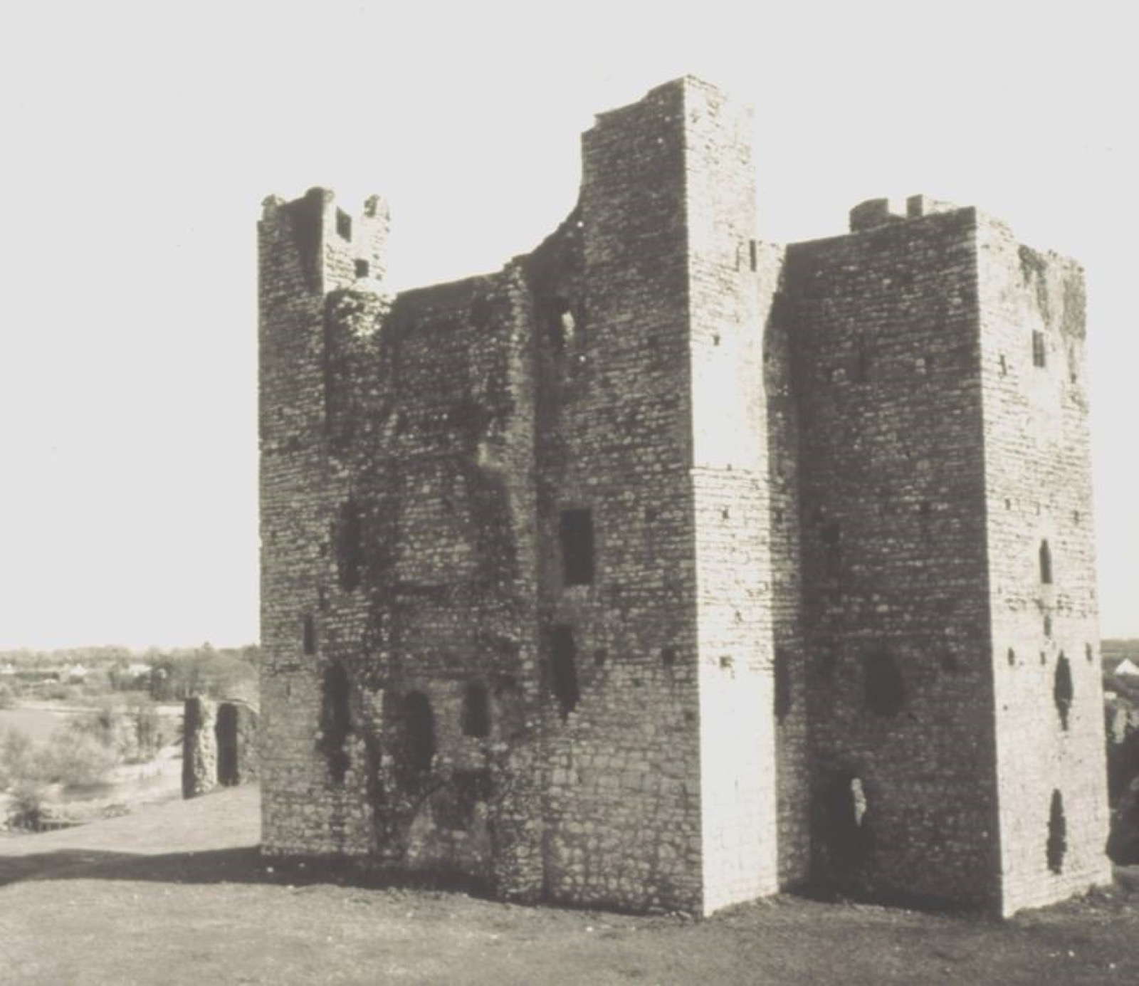 Trim Castle, Trim Castle