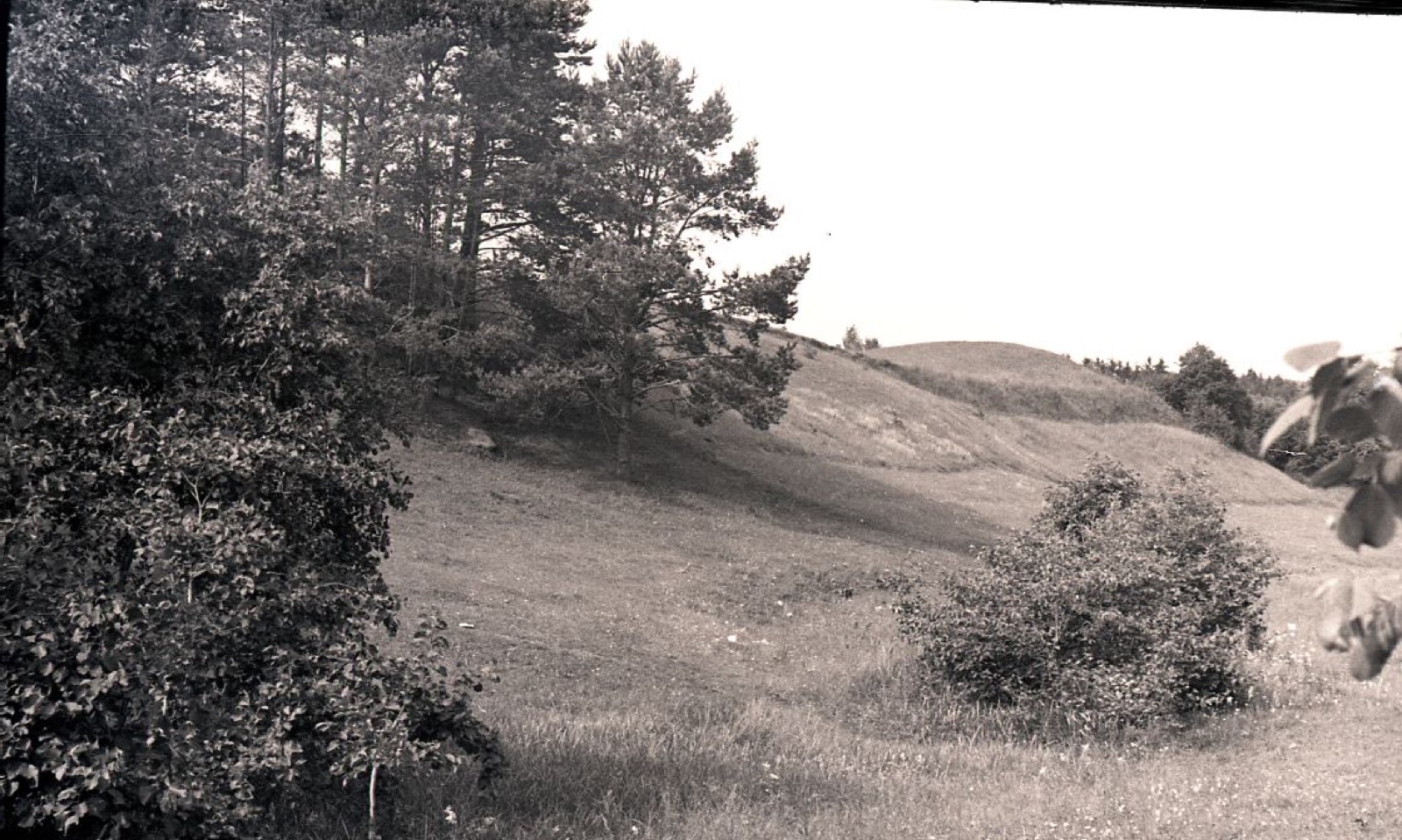 Piliakalnis, vadinamas "Voruta" Anykščių rajonas. Bikūnų apylinkė. Šeimyniškių kaimas, Voruta