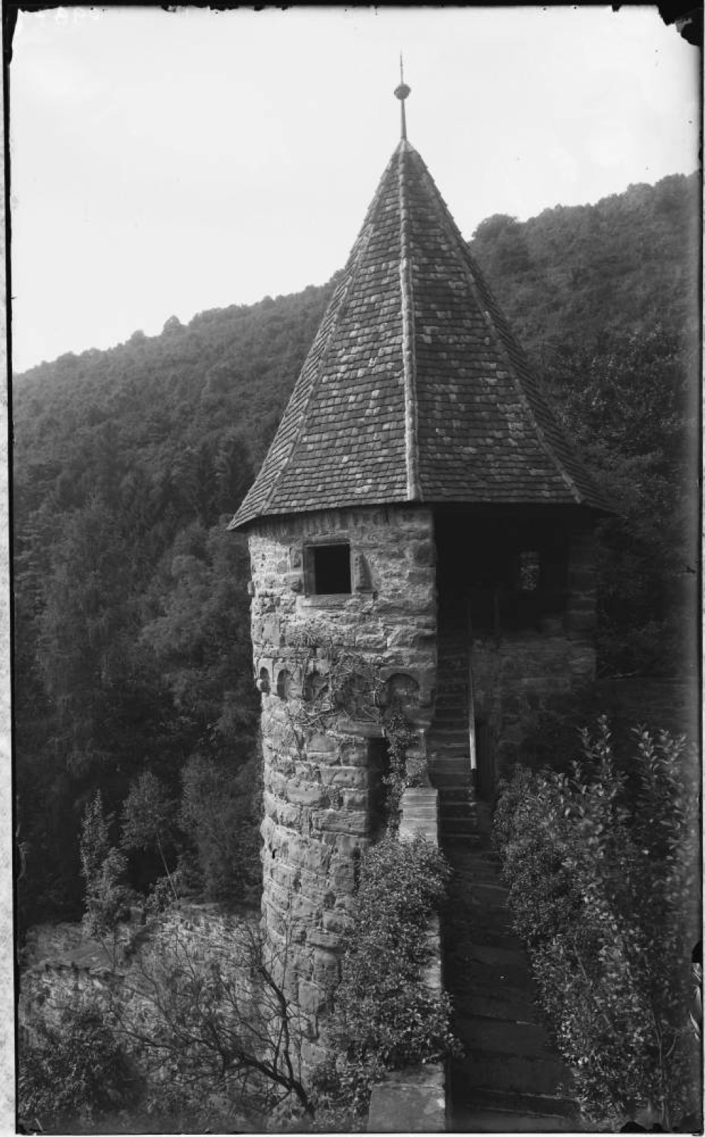 Zwingenberg Schloss Zwingenberg Schlossturm, Zwingenberg Castle